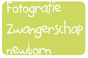 fotografie